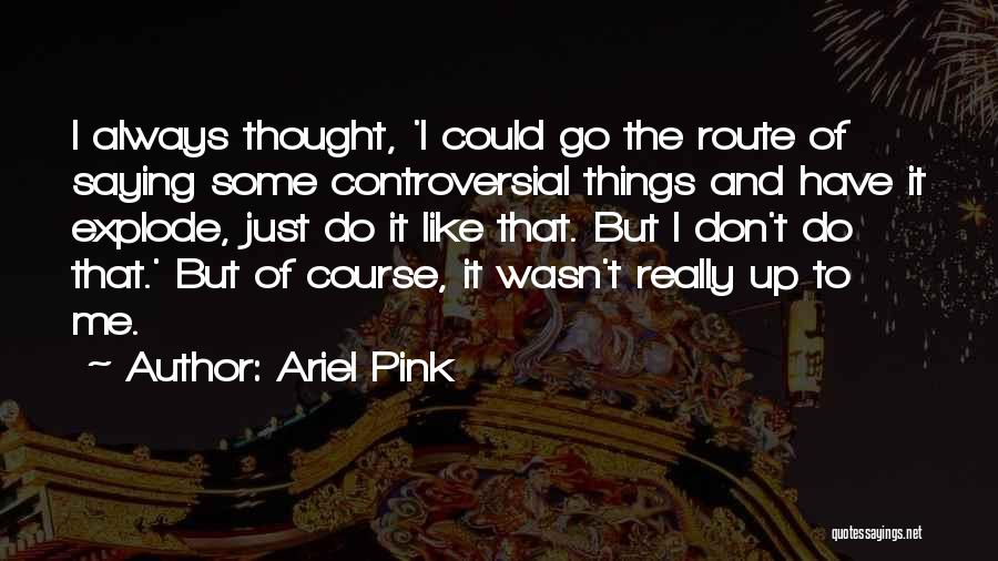 Ariel Pink Quotes: I Always Thought, 'i Could Go The Route Of Saying Some Controversial Things And Have It Explode, Just Do It