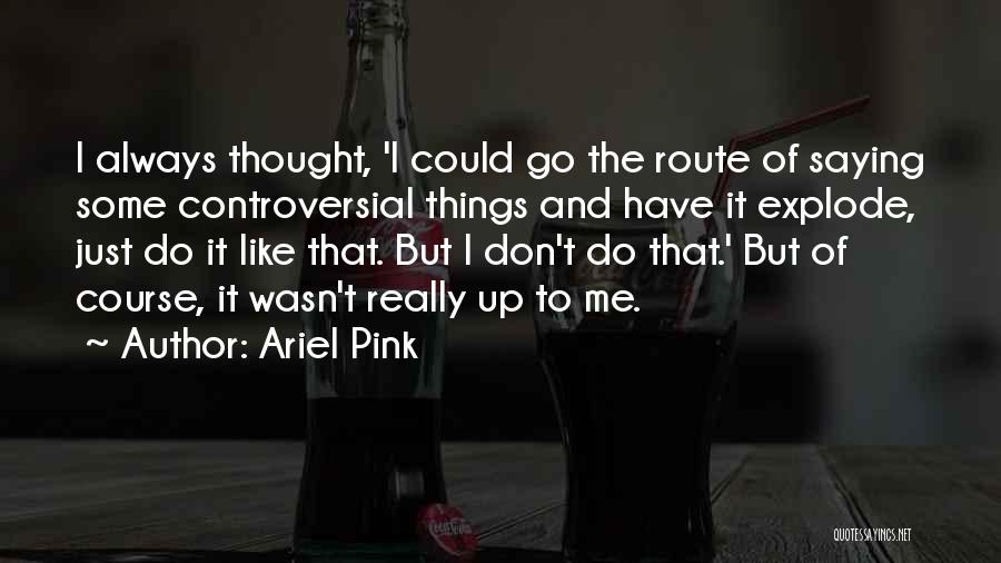 Ariel Pink Quotes: I Always Thought, 'i Could Go The Route Of Saying Some Controversial Things And Have It Explode, Just Do It