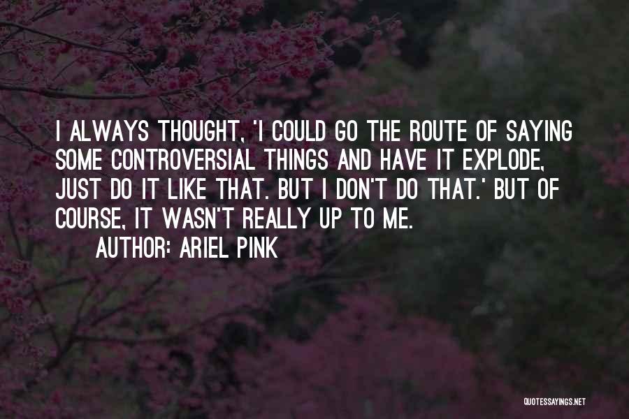 Ariel Pink Quotes: I Always Thought, 'i Could Go The Route Of Saying Some Controversial Things And Have It Explode, Just Do It