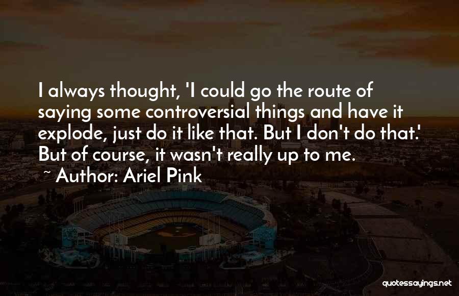 Ariel Pink Quotes: I Always Thought, 'i Could Go The Route Of Saying Some Controversial Things And Have It Explode, Just Do It