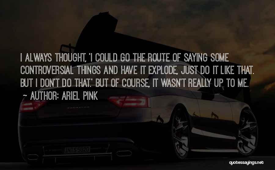 Ariel Pink Quotes: I Always Thought, 'i Could Go The Route Of Saying Some Controversial Things And Have It Explode, Just Do It