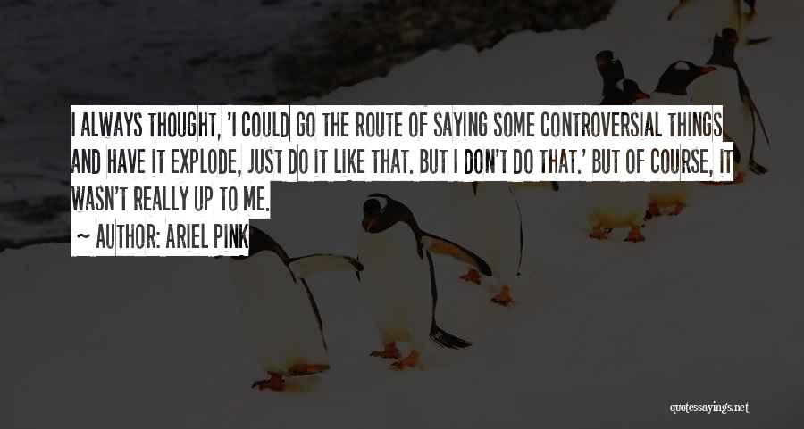 Ariel Pink Quotes: I Always Thought, 'i Could Go The Route Of Saying Some Controversial Things And Have It Explode, Just Do It