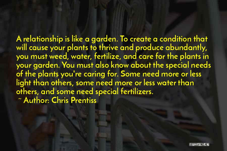 Chris Prentiss Quotes: A Relationship Is Like A Garden. To Create A Condition That Will Cause Your Plants To Thrive And Produce Abundantly,