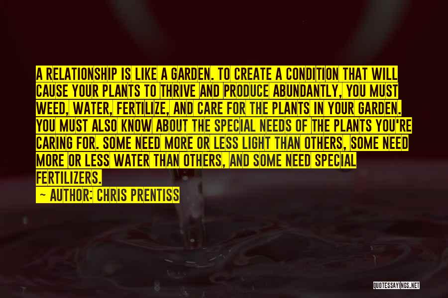 Chris Prentiss Quotes: A Relationship Is Like A Garden. To Create A Condition That Will Cause Your Plants To Thrive And Produce Abundantly,