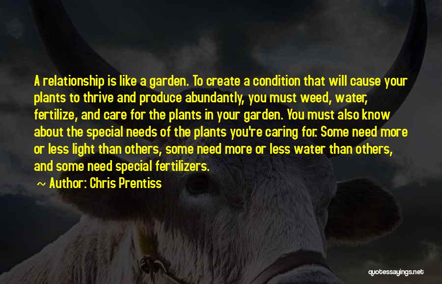 Chris Prentiss Quotes: A Relationship Is Like A Garden. To Create A Condition That Will Cause Your Plants To Thrive And Produce Abundantly,