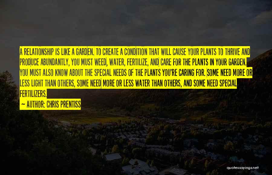 Chris Prentiss Quotes: A Relationship Is Like A Garden. To Create A Condition That Will Cause Your Plants To Thrive And Produce Abundantly,