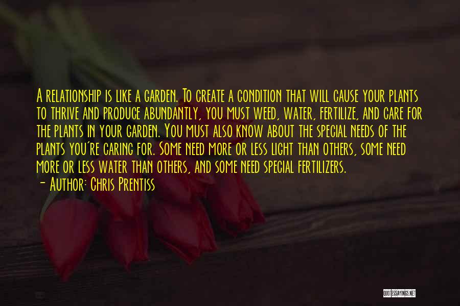 Chris Prentiss Quotes: A Relationship Is Like A Garden. To Create A Condition That Will Cause Your Plants To Thrive And Produce Abundantly,