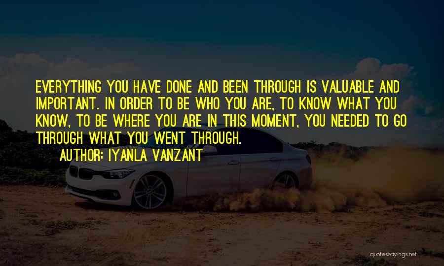 Iyanla Vanzant Quotes: Everything You Have Done And Been Through Is Valuable And Important. In Order To Be Who You Are, To Know