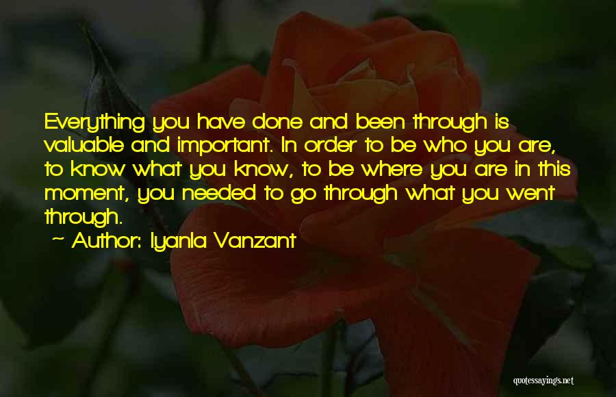 Iyanla Vanzant Quotes: Everything You Have Done And Been Through Is Valuable And Important. In Order To Be Who You Are, To Know