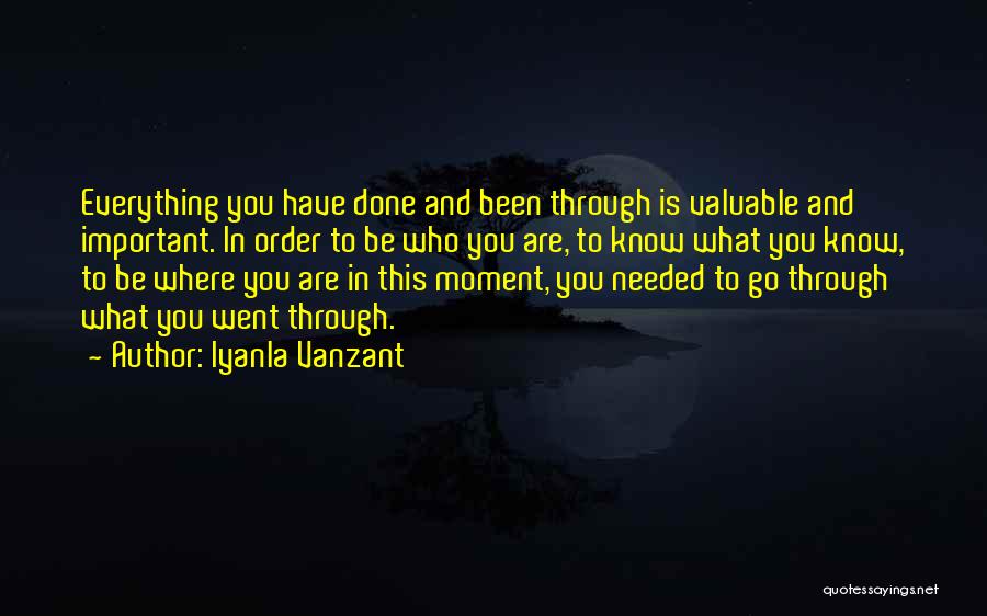Iyanla Vanzant Quotes: Everything You Have Done And Been Through Is Valuable And Important. In Order To Be Who You Are, To Know