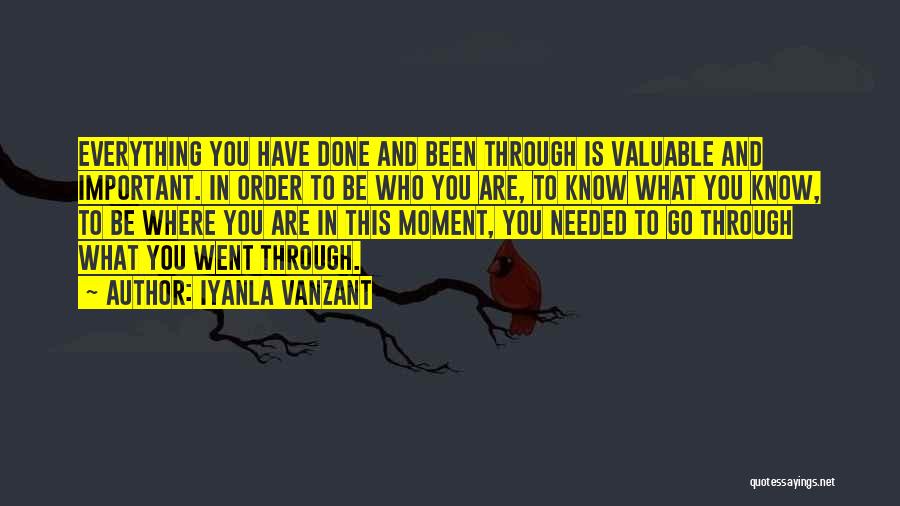 Iyanla Vanzant Quotes: Everything You Have Done And Been Through Is Valuable And Important. In Order To Be Who You Are, To Know