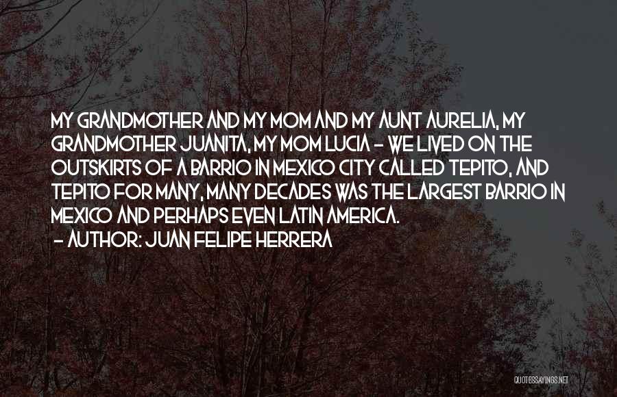 Juan Felipe Herrera Quotes: My Grandmother And My Mom And My Aunt Aurelia, My Grandmother Juanita, My Mom Lucia - We Lived On The