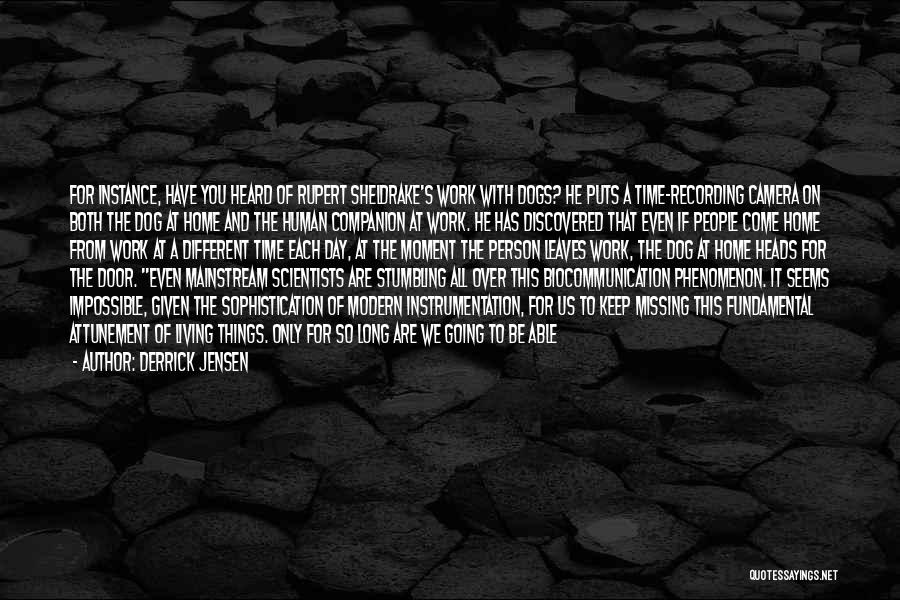 Derrick Jensen Quotes: For Instance, Have You Heard Of Rupert Sheldrake's Work With Dogs? He Puts A Time-recording Camera On Both The Dog