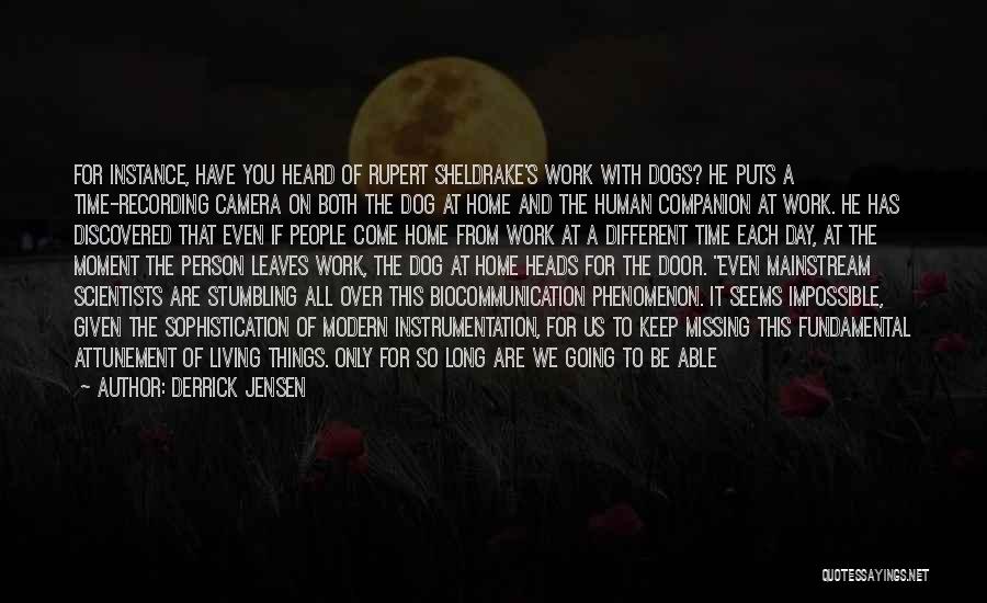 Derrick Jensen Quotes: For Instance, Have You Heard Of Rupert Sheldrake's Work With Dogs? He Puts A Time-recording Camera On Both The Dog