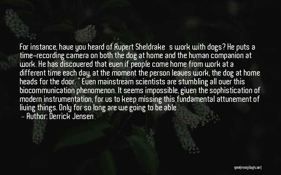 Derrick Jensen Quotes: For Instance, Have You Heard Of Rupert Sheldrake's Work With Dogs? He Puts A Time-recording Camera On Both The Dog