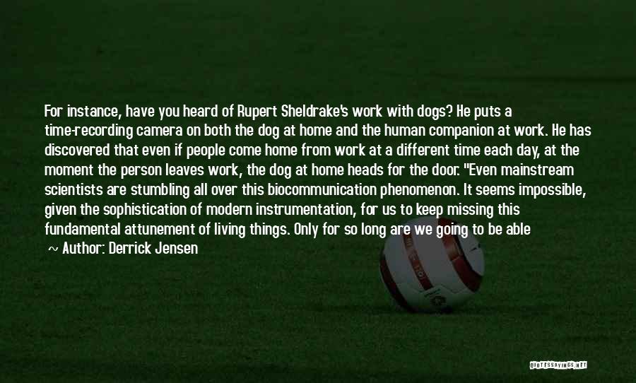 Derrick Jensen Quotes: For Instance, Have You Heard Of Rupert Sheldrake's Work With Dogs? He Puts A Time-recording Camera On Both The Dog