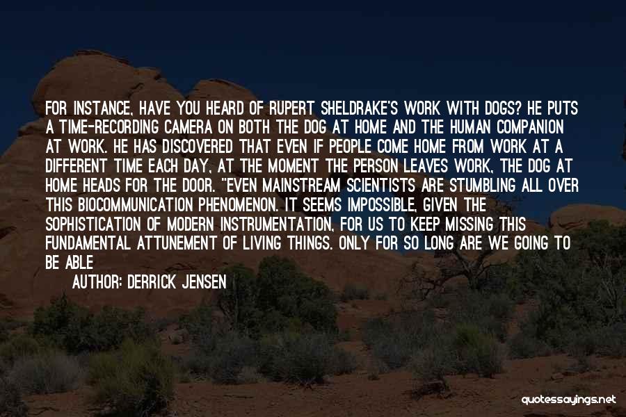 Derrick Jensen Quotes: For Instance, Have You Heard Of Rupert Sheldrake's Work With Dogs? He Puts A Time-recording Camera On Both The Dog