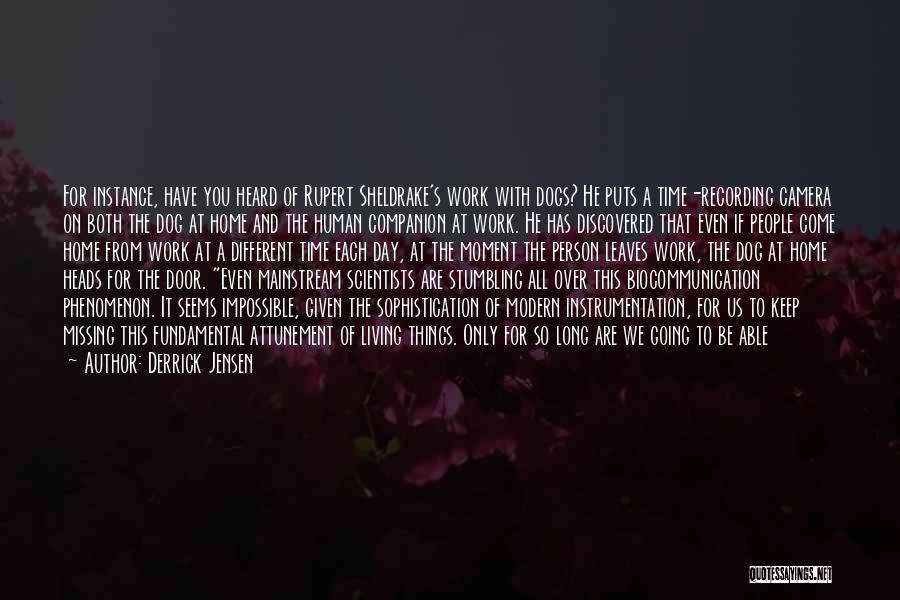 Derrick Jensen Quotes: For Instance, Have You Heard Of Rupert Sheldrake's Work With Dogs? He Puts A Time-recording Camera On Both The Dog