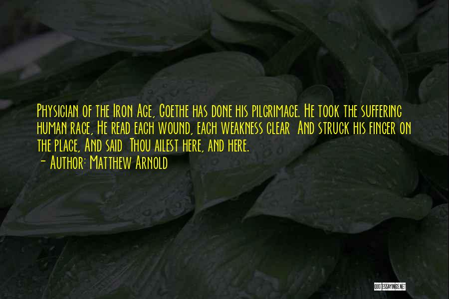 Matthew Arnold Quotes: Physician Of The Iron Age, Goethe Has Done His Pilgrimage. He Took The Suffering Human Race, He Read Each Wound,