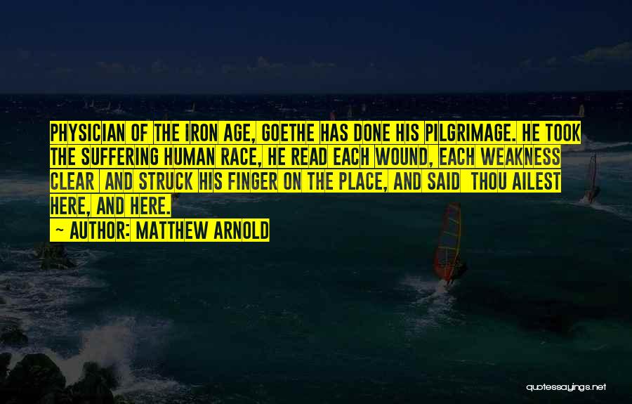 Matthew Arnold Quotes: Physician Of The Iron Age, Goethe Has Done His Pilgrimage. He Took The Suffering Human Race, He Read Each Wound,