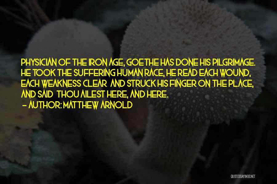 Matthew Arnold Quotes: Physician Of The Iron Age, Goethe Has Done His Pilgrimage. He Took The Suffering Human Race, He Read Each Wound,