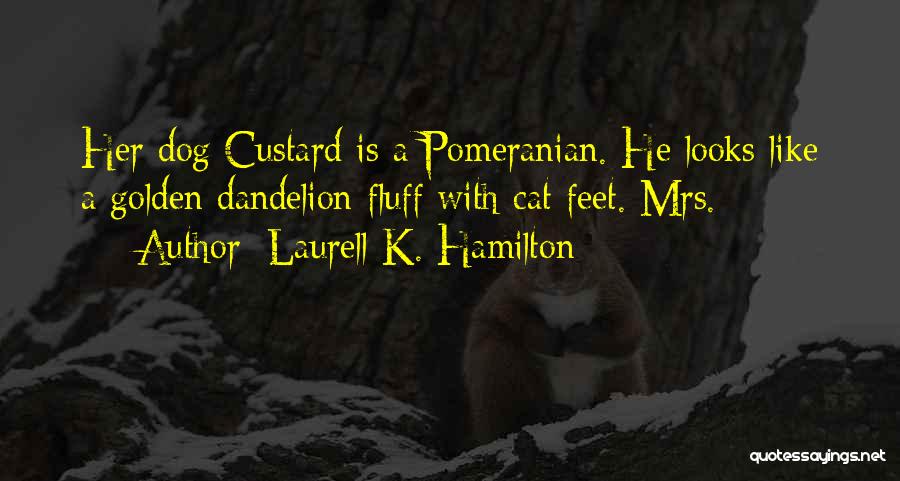 Laurell K. Hamilton Quotes: Her Dog Custard Is A Pomeranian. He Looks Like A Golden Dandelion Fluff With Cat Feet. Mrs.