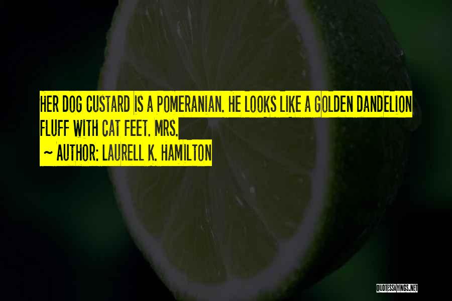 Laurell K. Hamilton Quotes: Her Dog Custard Is A Pomeranian. He Looks Like A Golden Dandelion Fluff With Cat Feet. Mrs.
