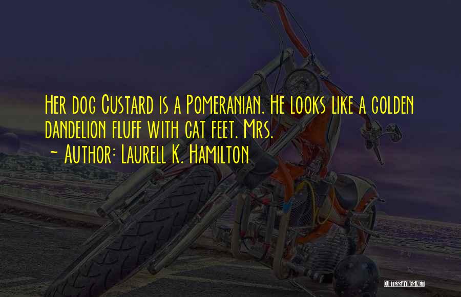 Laurell K. Hamilton Quotes: Her Dog Custard Is A Pomeranian. He Looks Like A Golden Dandelion Fluff With Cat Feet. Mrs.