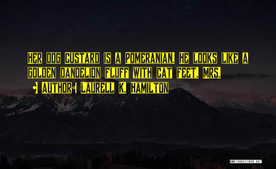 Laurell K. Hamilton Quotes: Her Dog Custard Is A Pomeranian. He Looks Like A Golden Dandelion Fluff With Cat Feet. Mrs.