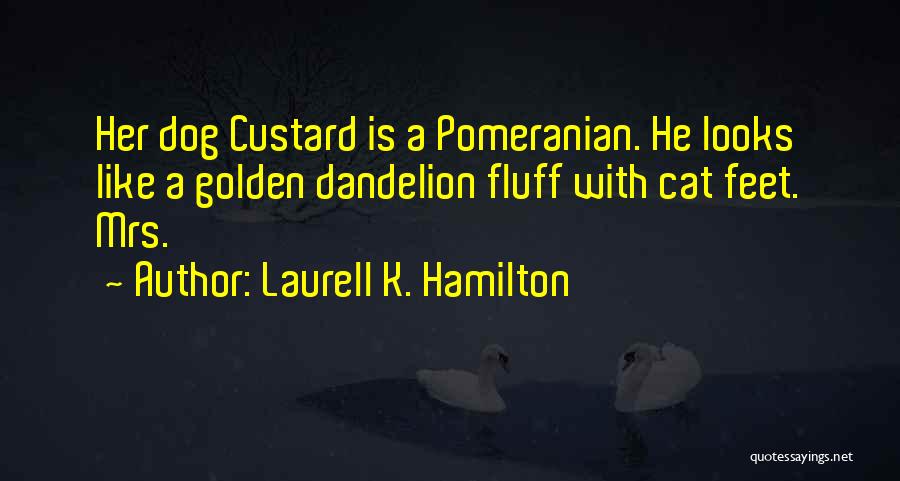 Laurell K. Hamilton Quotes: Her Dog Custard Is A Pomeranian. He Looks Like A Golden Dandelion Fluff With Cat Feet. Mrs.