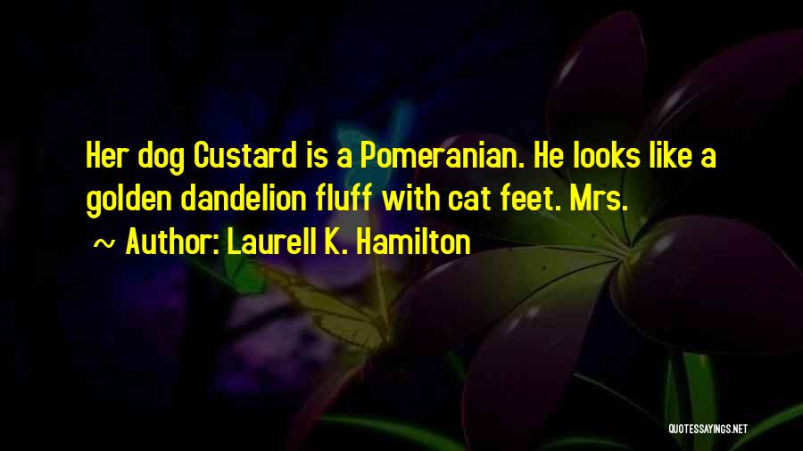 Laurell K. Hamilton Quotes: Her Dog Custard Is A Pomeranian. He Looks Like A Golden Dandelion Fluff With Cat Feet. Mrs.