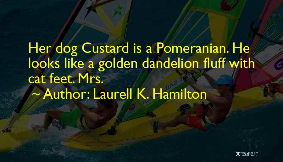 Laurell K. Hamilton Quotes: Her Dog Custard Is A Pomeranian. He Looks Like A Golden Dandelion Fluff With Cat Feet. Mrs.