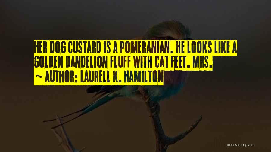 Laurell K. Hamilton Quotes: Her Dog Custard Is A Pomeranian. He Looks Like A Golden Dandelion Fluff With Cat Feet. Mrs.