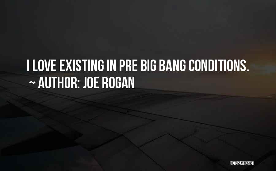 Joe Rogan Quotes: I Love Existing In Pre Big Bang Conditions.