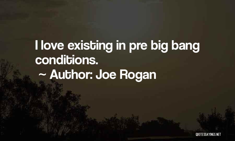 Joe Rogan Quotes: I Love Existing In Pre Big Bang Conditions.