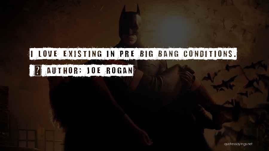 Joe Rogan Quotes: I Love Existing In Pre Big Bang Conditions.