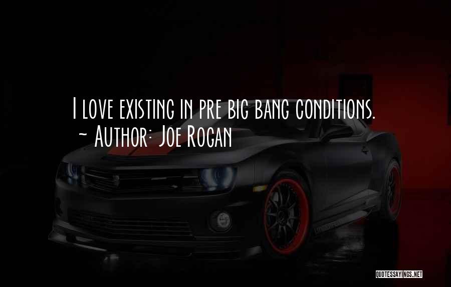 Joe Rogan Quotes: I Love Existing In Pre Big Bang Conditions.