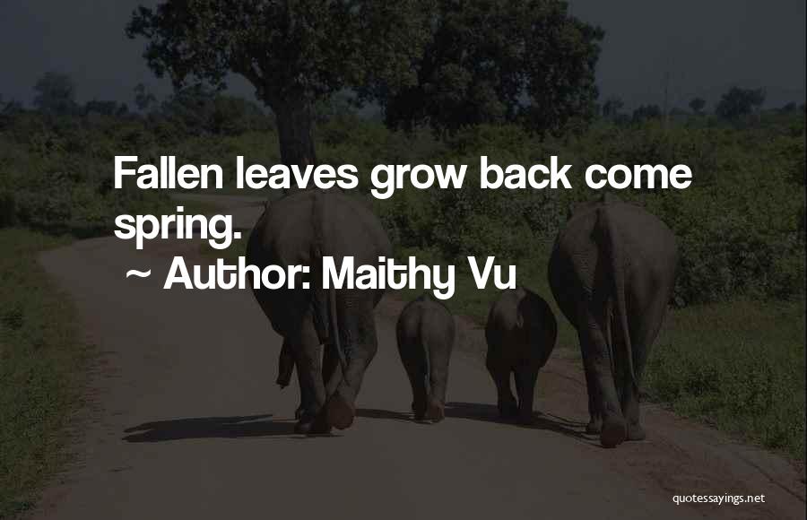 Maithy Vu Quotes: Fallen Leaves Grow Back Come Spring.
