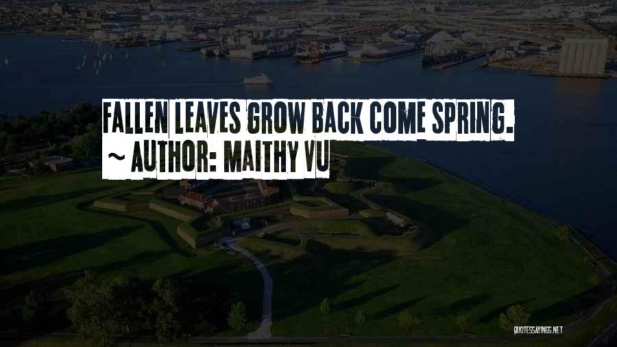 Maithy Vu Quotes: Fallen Leaves Grow Back Come Spring.