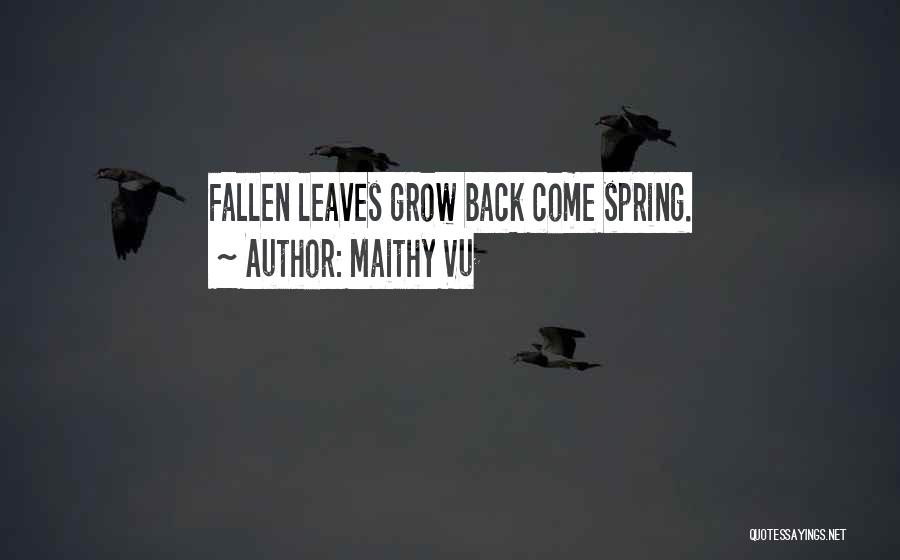 Maithy Vu Quotes: Fallen Leaves Grow Back Come Spring.