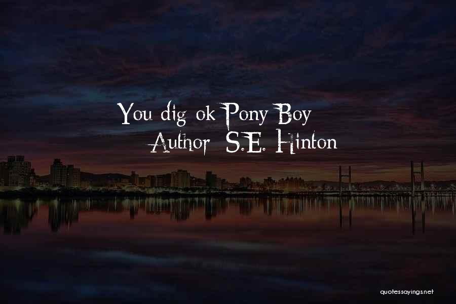 S.E. Hinton Quotes: You Dig Ok Pony Boy