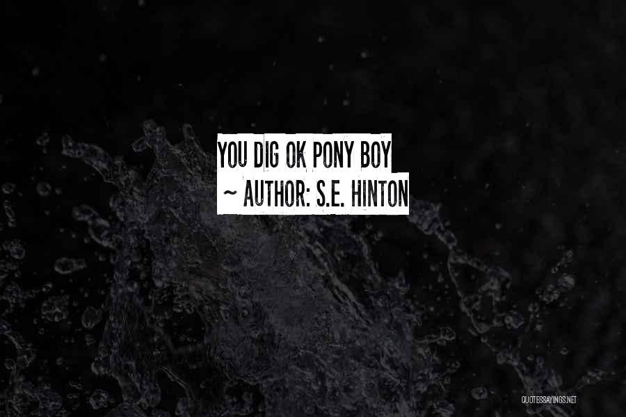 S.E. Hinton Quotes: You Dig Ok Pony Boy