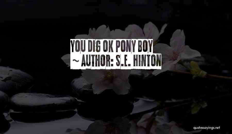 S.E. Hinton Quotes: You Dig Ok Pony Boy