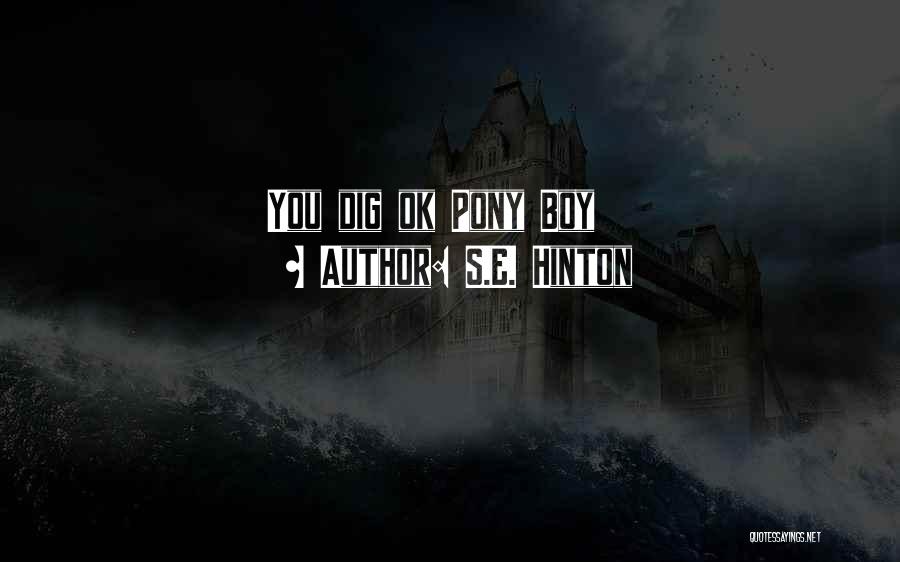 S.E. Hinton Quotes: You Dig Ok Pony Boy