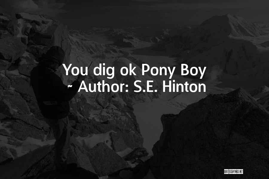 S.E. Hinton Quotes: You Dig Ok Pony Boy