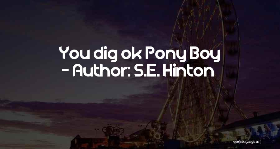 S.E. Hinton Quotes: You Dig Ok Pony Boy