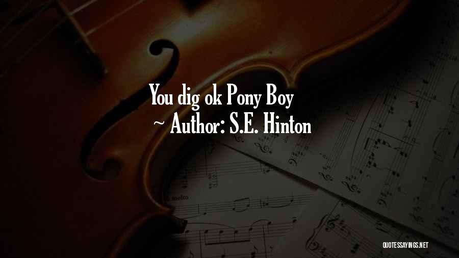 S.E. Hinton Quotes: You Dig Ok Pony Boy