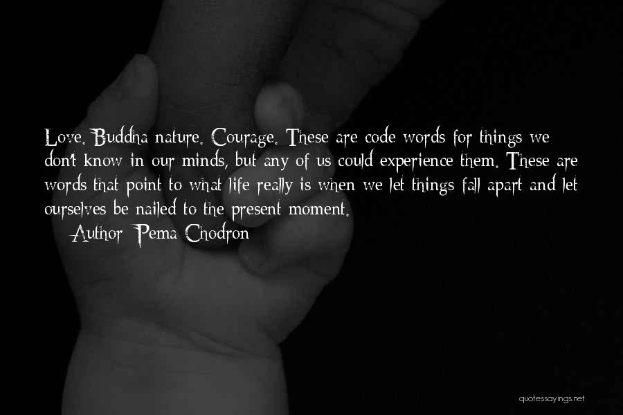 Pema Chodron Quotes: Love. Buddha Nature. Courage. These Are Code Words For Things We Don't Know In Our Minds, But Any Of Us