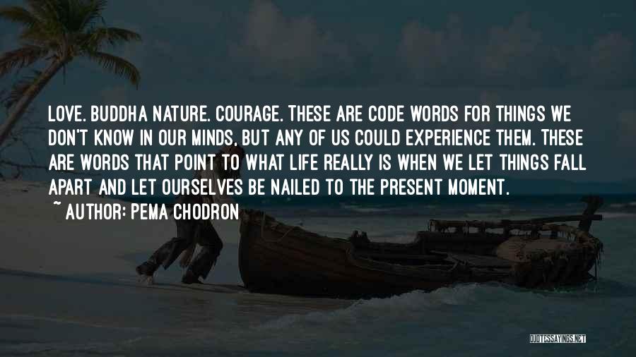 Pema Chodron Quotes: Love. Buddha Nature. Courage. These Are Code Words For Things We Don't Know In Our Minds, But Any Of Us
