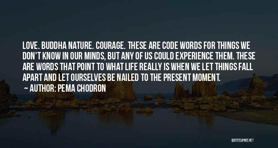 Pema Chodron Quotes: Love. Buddha Nature. Courage. These Are Code Words For Things We Don't Know In Our Minds, But Any Of Us